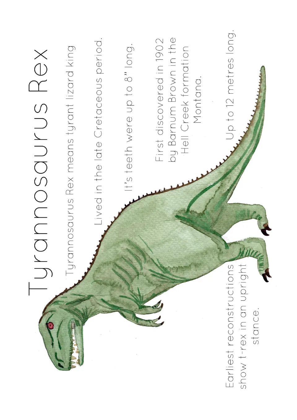 T. rex fact poster covering its name, time period, teeth, discovery, length, and early upright reconstructions