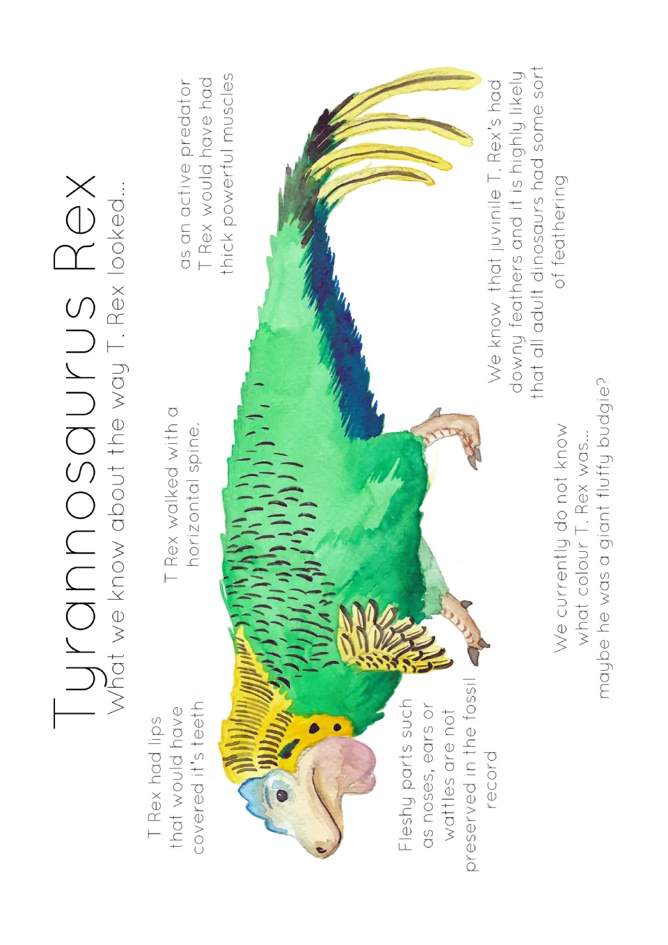 T. rex reconstruction poster showing a feathered dinosaur with notes on lips, posture, muscles, and color