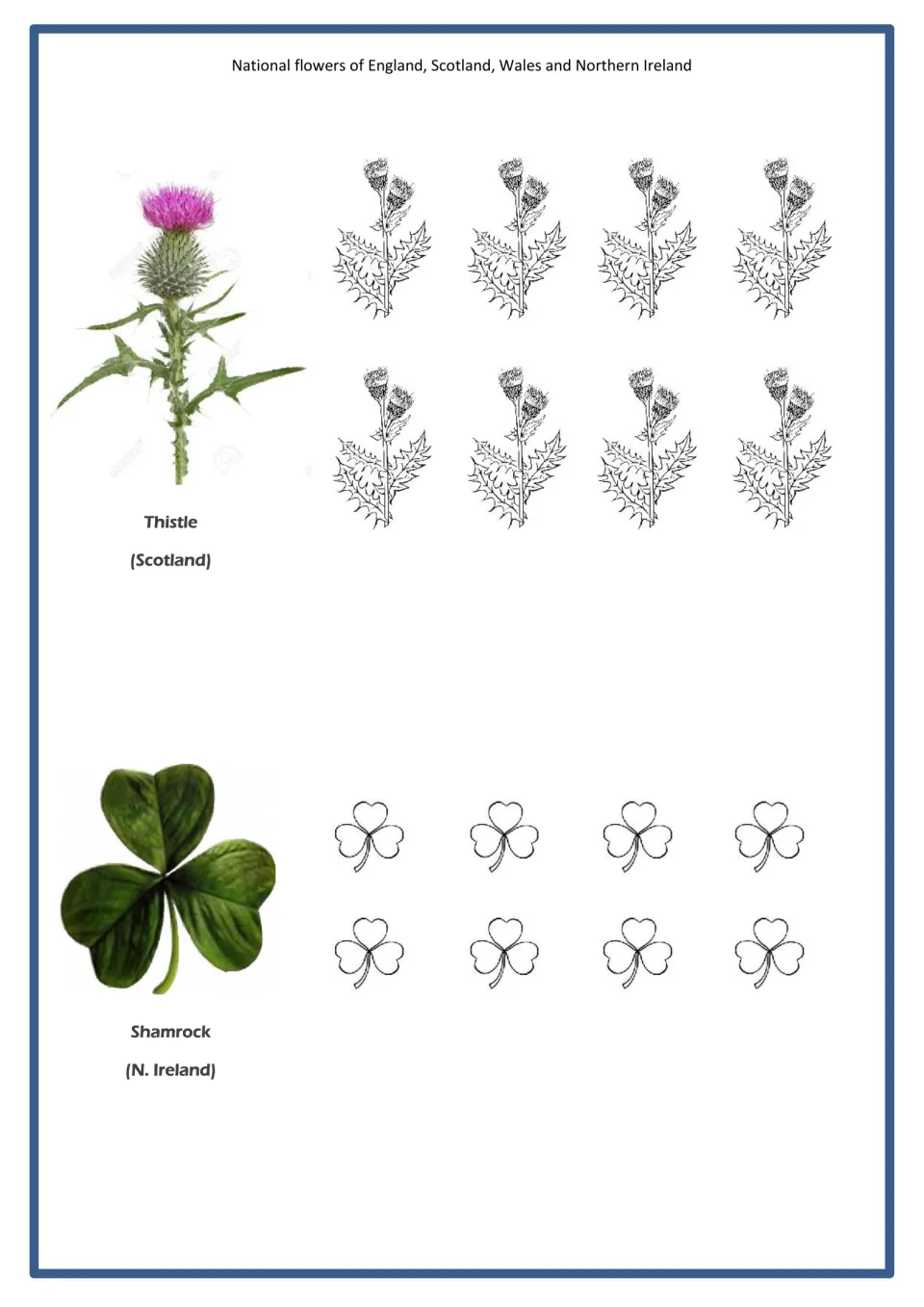 Thistle for Scotland and shamrock for N. Ireland: a photo of each beside 8 outline copies for students to colour and cut out