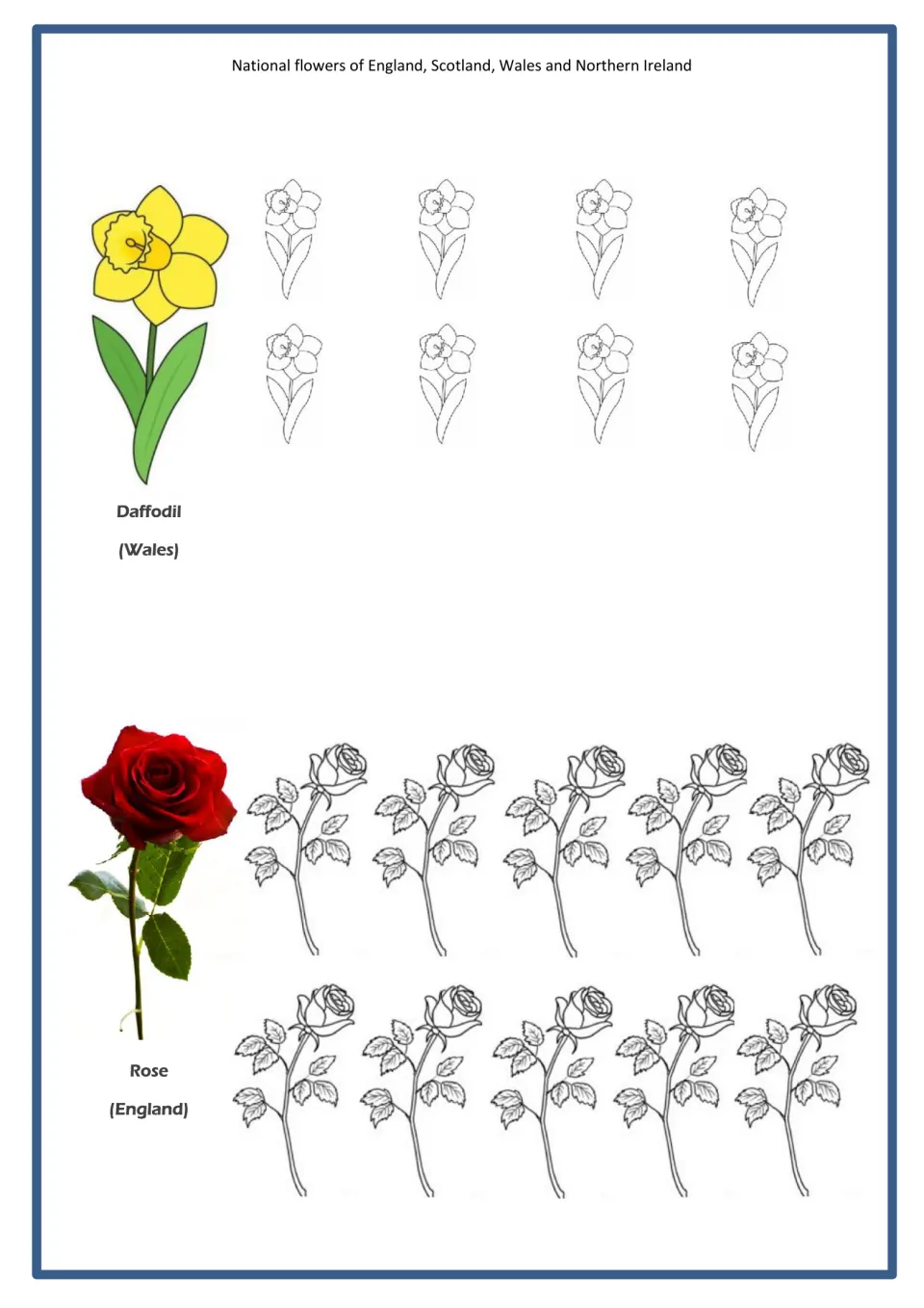 Daffodil for Wales and rose for England: a picture of each beside 8 daffodil and 10 rose outlines to colour and cut out