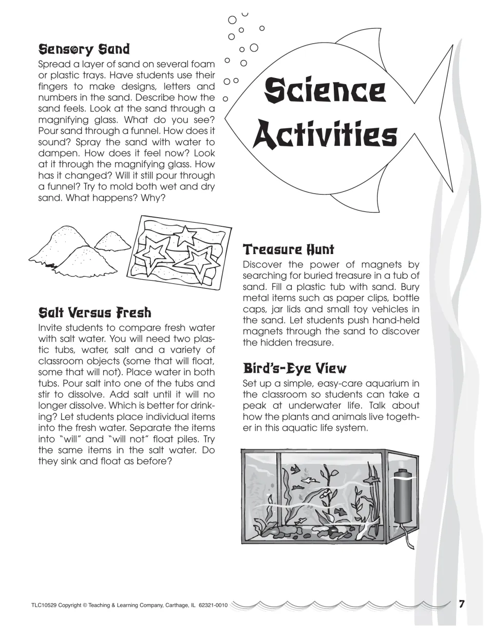 Science activities: exploring wet and dry sand, sink or float in salt versus fresh water, magnet treasure hunt, aquarium