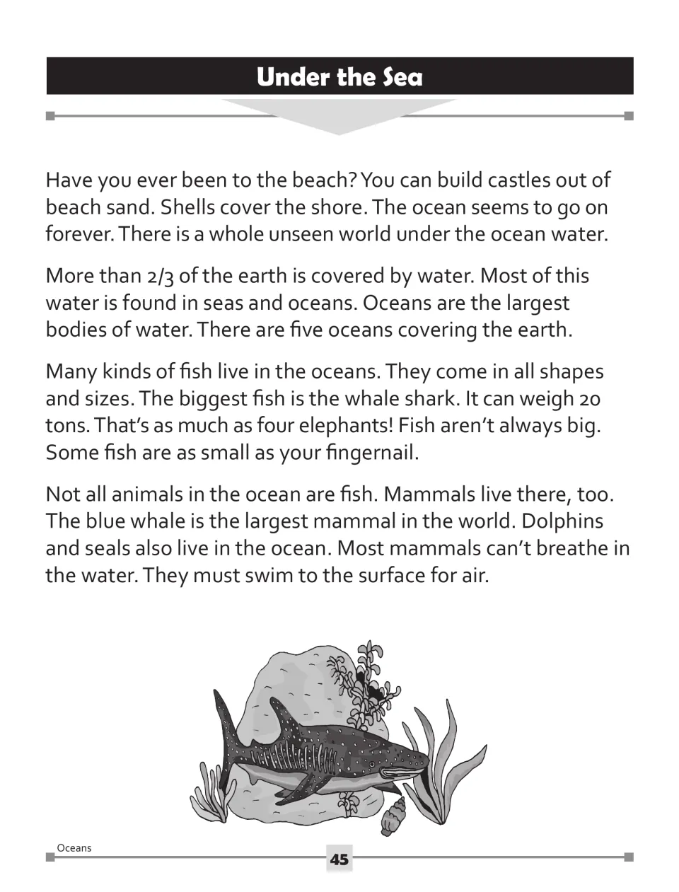 Reading passage, part 1: ocean coverage, fish sizes, whale sharks, and ocean mammals that surface for air.