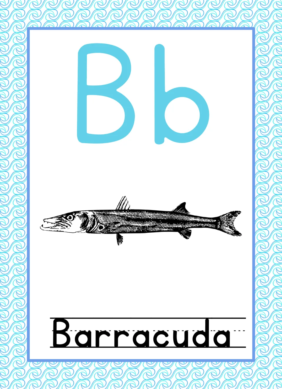 Letter B poster: solid blue Bb with a black-and-white barracuda drawing and the word Barracuda on handwriting lines