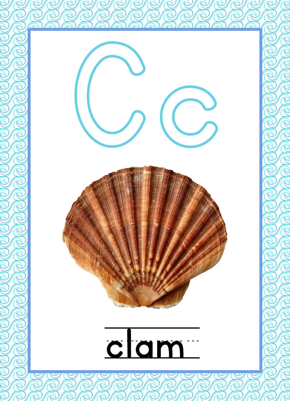 Letter C poster: outlined Cc above a photo of a ridged brown seashell labeled clam on handwriting lines