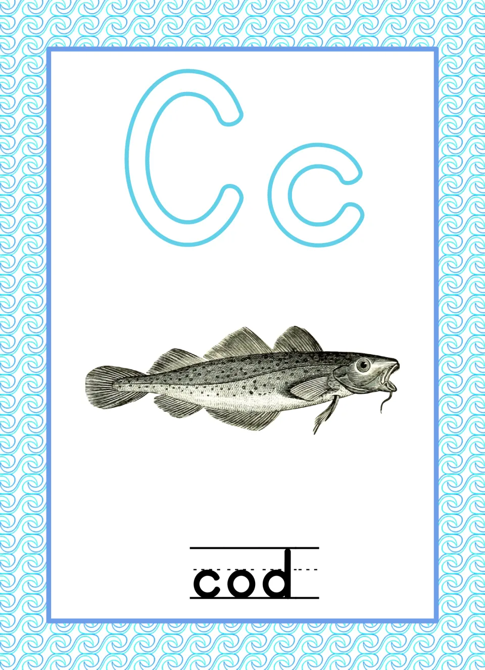 Letter C poster with outlined Cc and a vintage-style spotted cod illustration, keyword cod below on handwriting lines