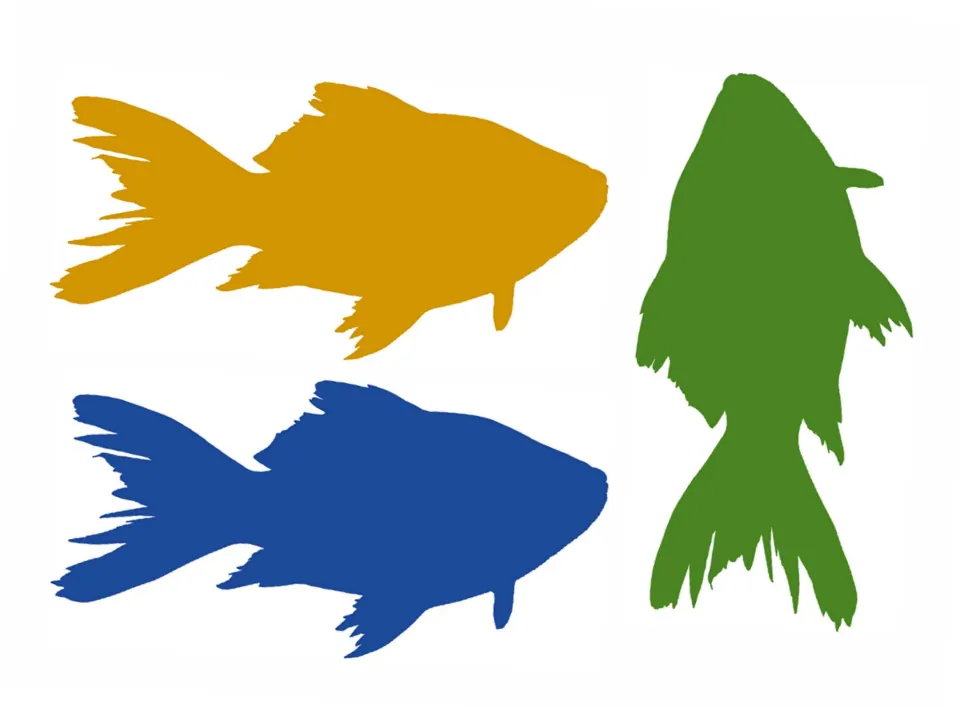 Fish silhouette name labels to cut out: one gold, one blue and one green fish shape, each left blank for a student name