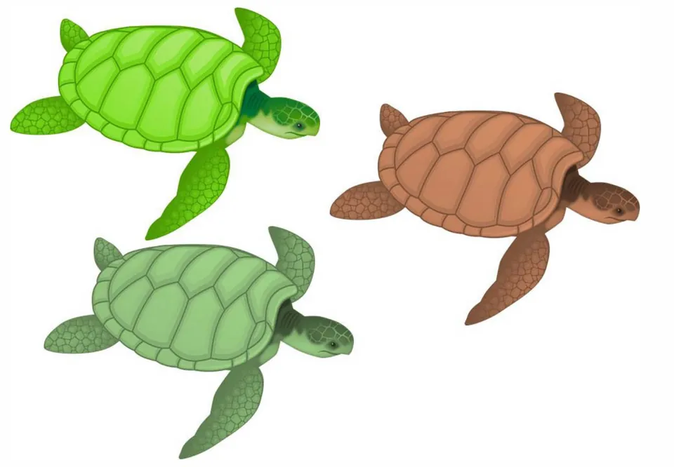 Sea turtle name labels to cut out: three turtles in bright green, sage green and brown with room for a name on each shell