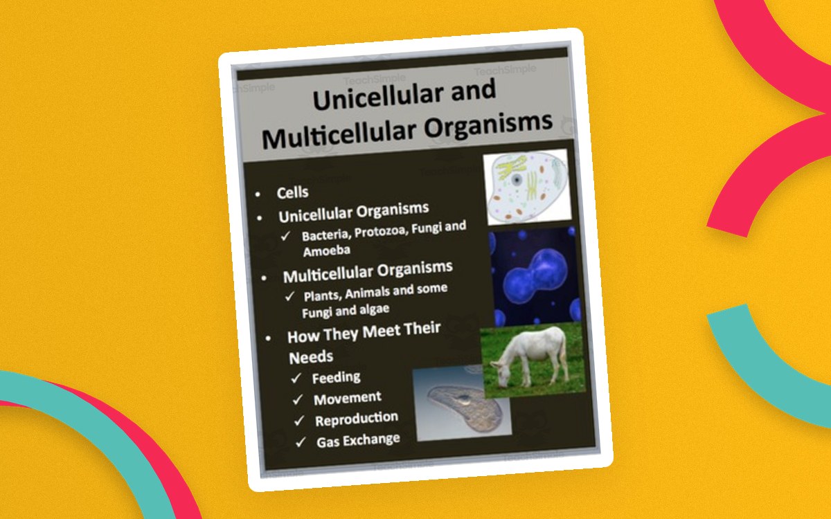 Unicellular and multicellular organisms PowerPoint cover listing the lesson topics on an orange background