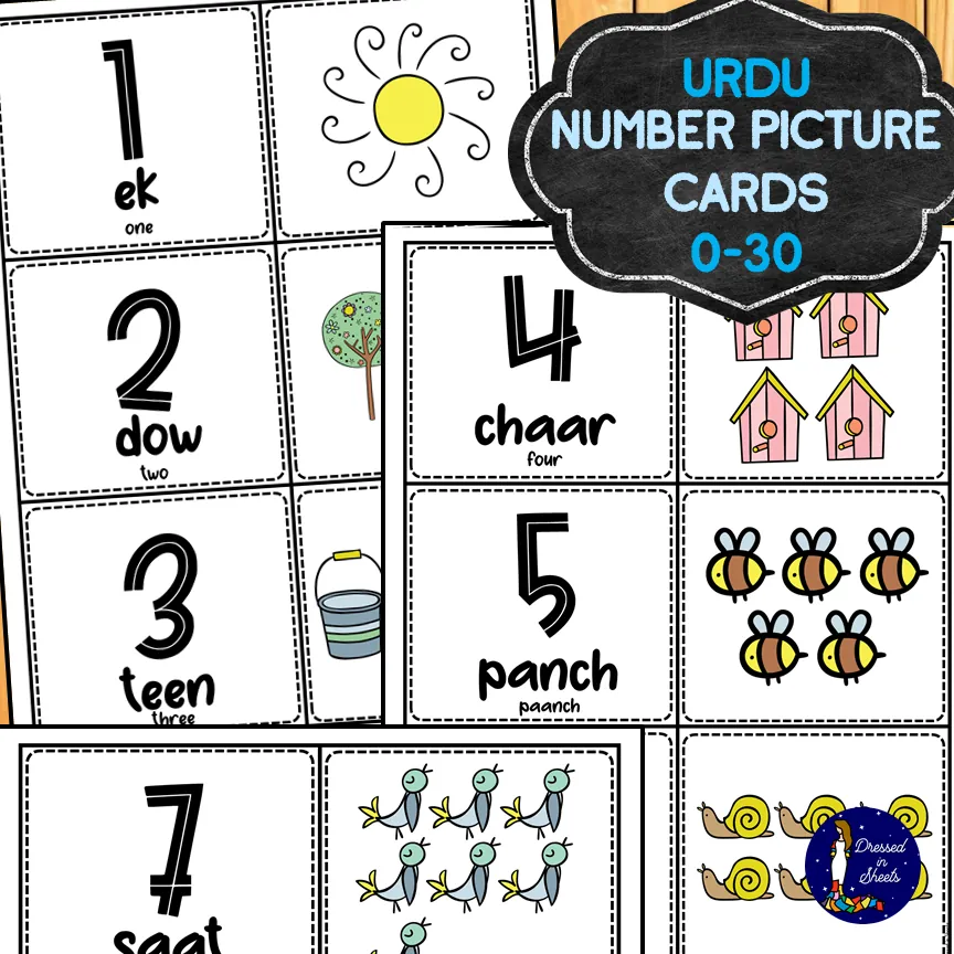 Urdu Numbers Picture Cards 0-30 – cover