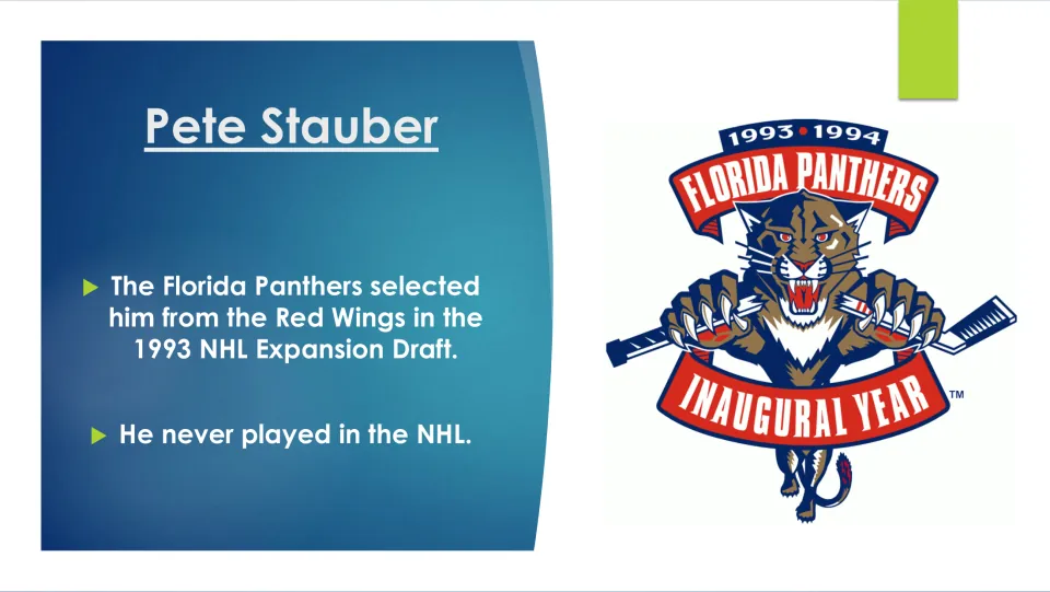 Hockey career slide covering Stauber’s selection by Florida in the 1993 expansion draft and no NHL play