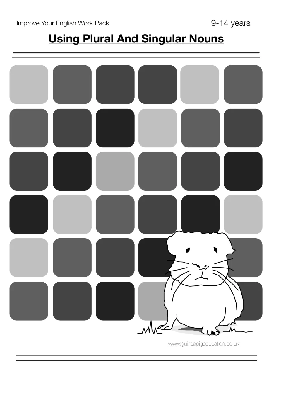 Cover of Using Plural And Singular Nouns, an Improve Your English Work Pack for 9-14 years, with a guinea pig drawing