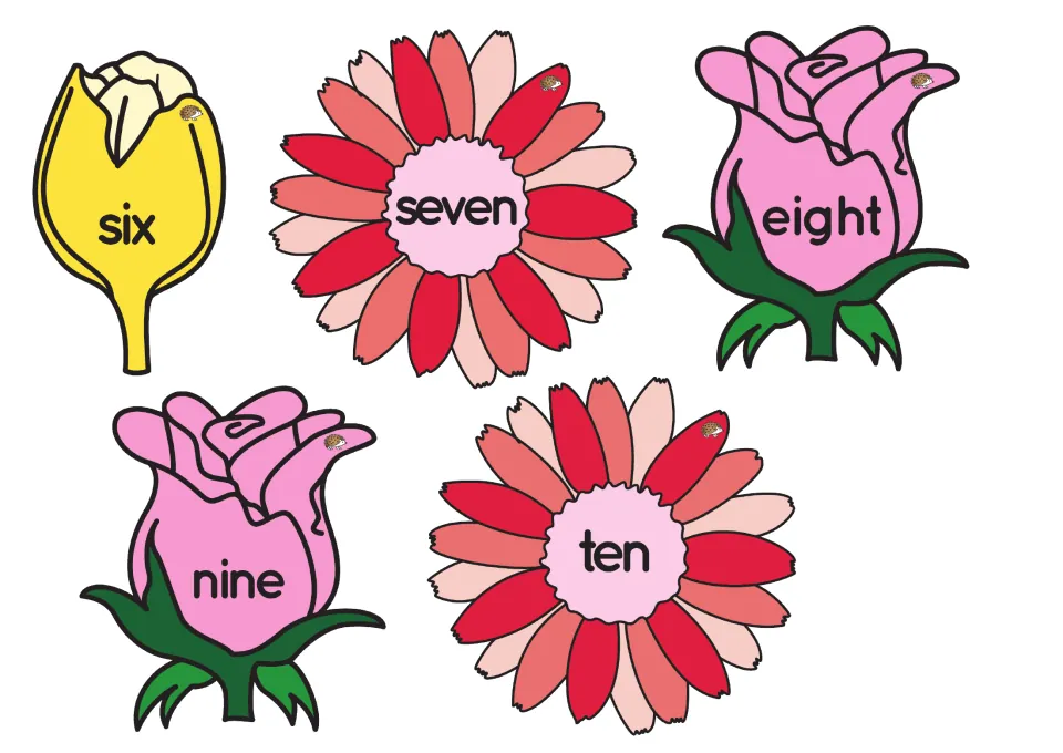 Number-word flower cards six, seven, eight, nine and ten on a tulip, daisies and roses for number word recognition