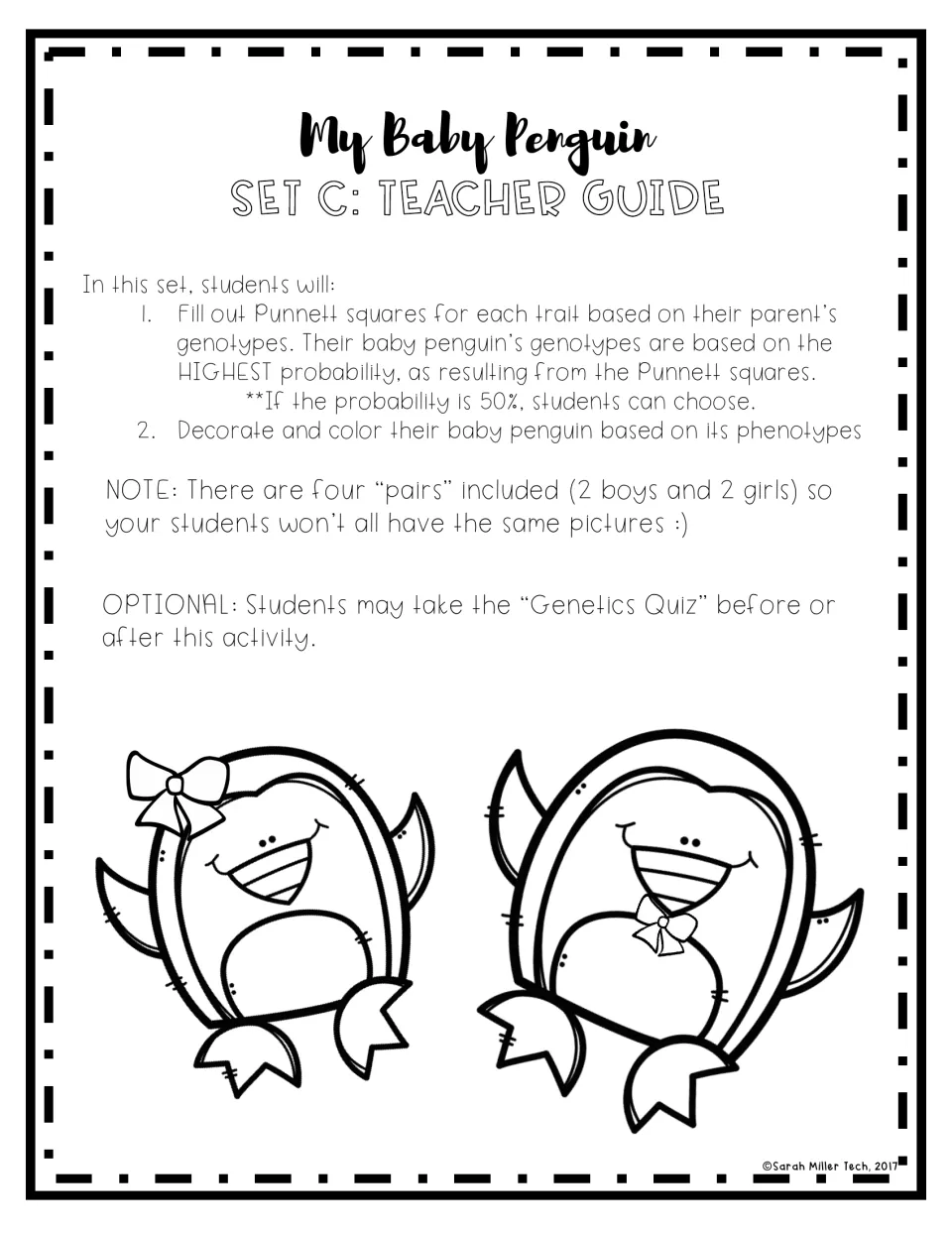 Set C teacher guide: use Punnett squares to select baby penguin genotypes, then color their phenotypes