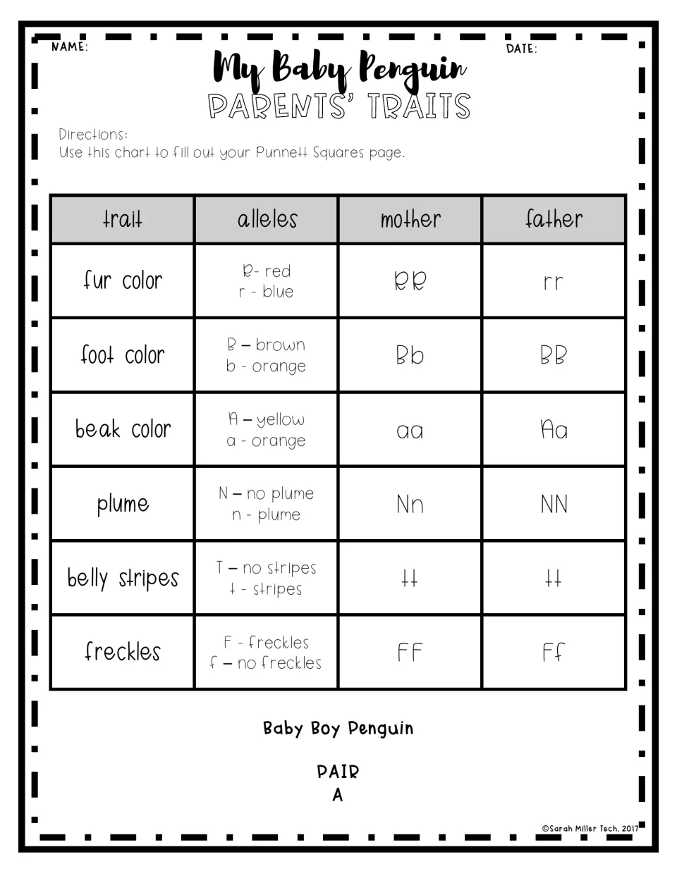 Pair A parental trait chart for a baby boy penguin: six traits, including foot color and belly stripes