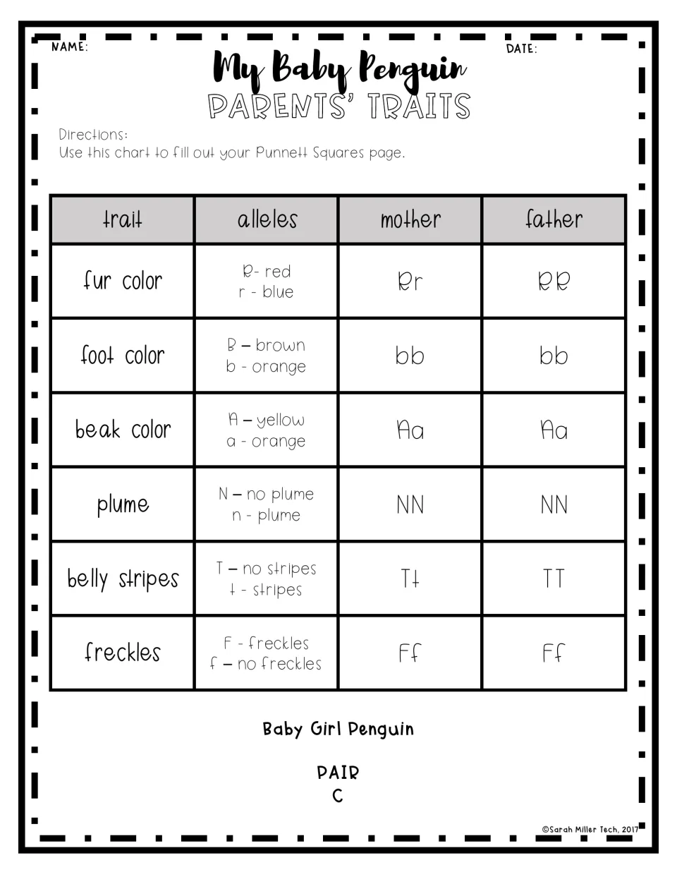 Pair C parental trait chart for a baby girl penguin: six traits, including foot color and plume