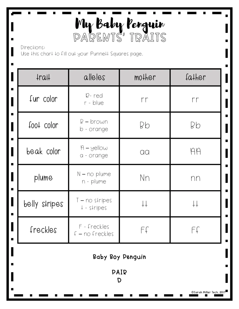 Pair D parental trait chart for a baby boy penguin: six traits, including beak color and belly stripes