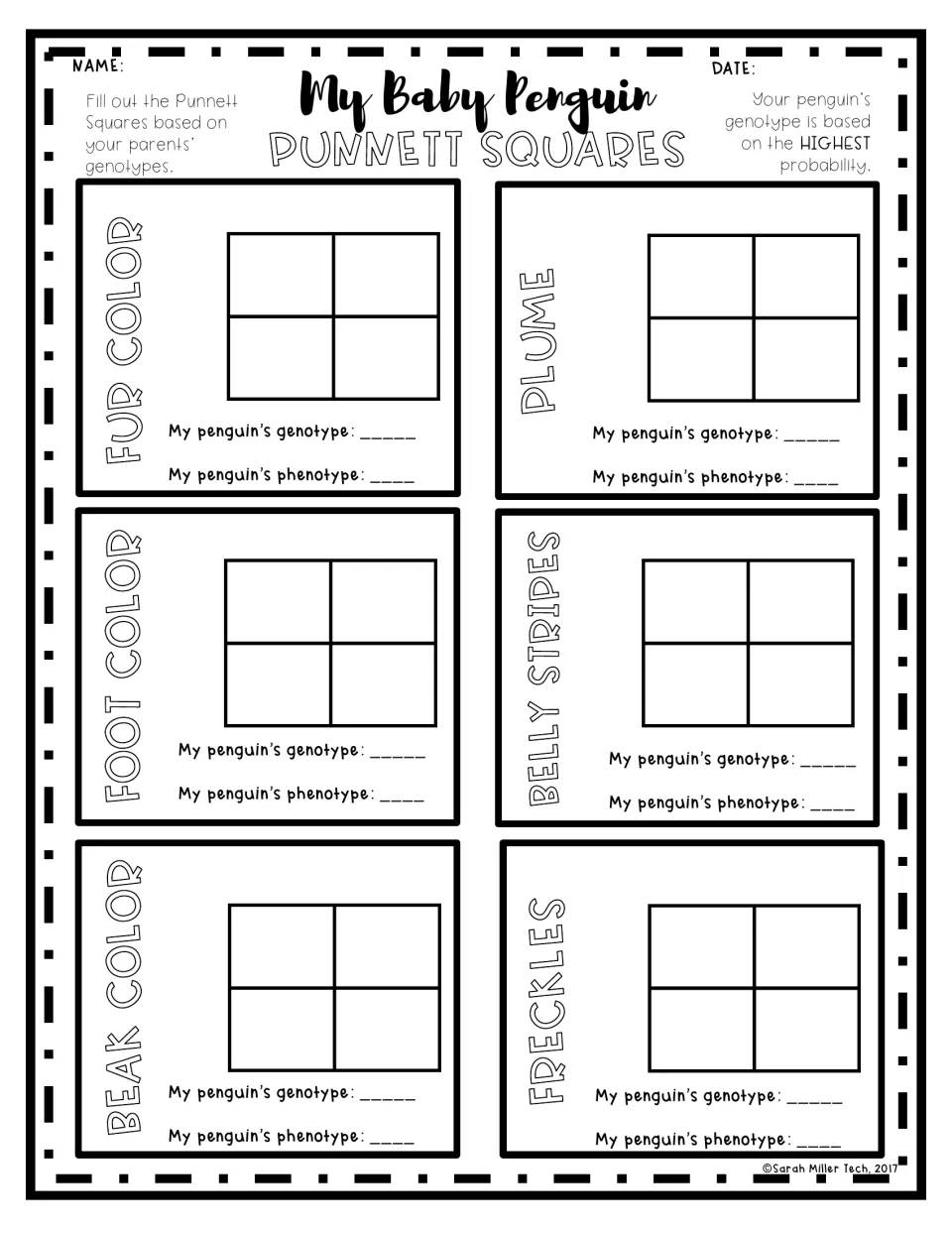 Punnett square practice for six penguin traits, with genotype and phenotype responses for each trait