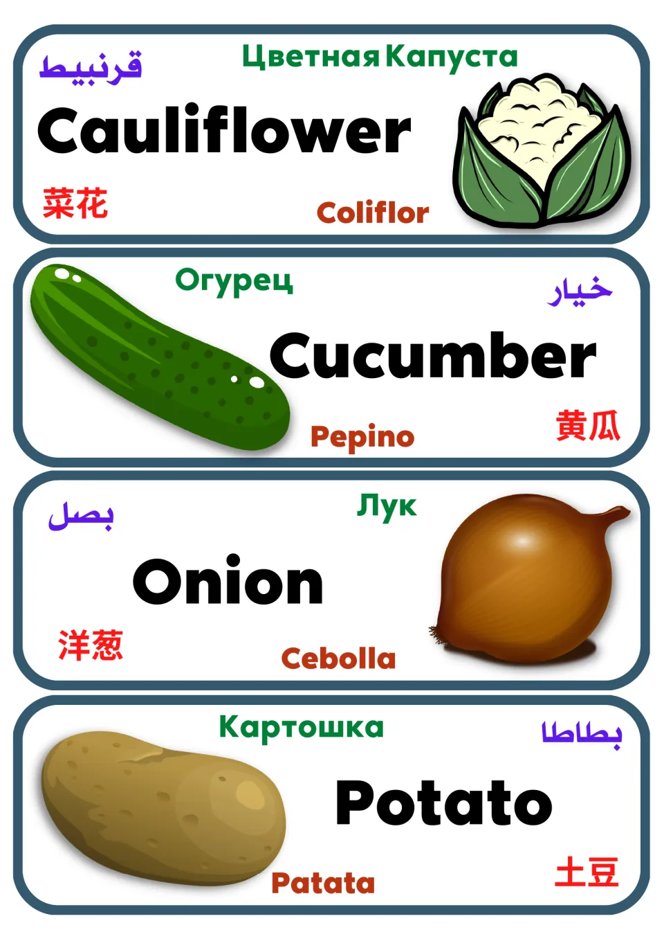 Vegetable vocabulary labels 5–8: cauliflower, cucumber, onion, and potato, with names in five languages