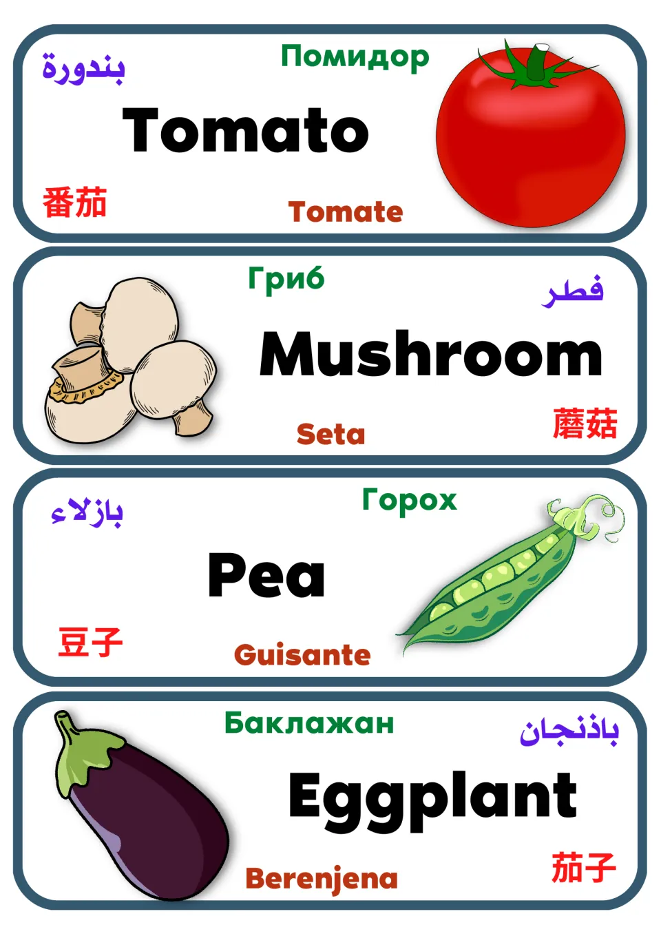 Vegetable vocabulary labels 13–16: tomato, mushroom, pea, and eggplant, with names in five languages