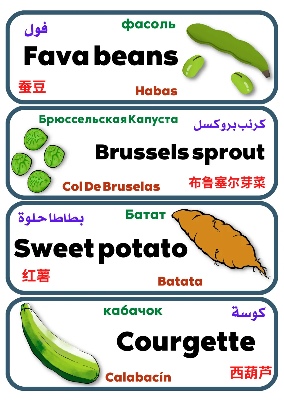 Multilingual vegetable labels 17–20: fava beans, Brussels sprout, sweet potato, and courgette, with pictures