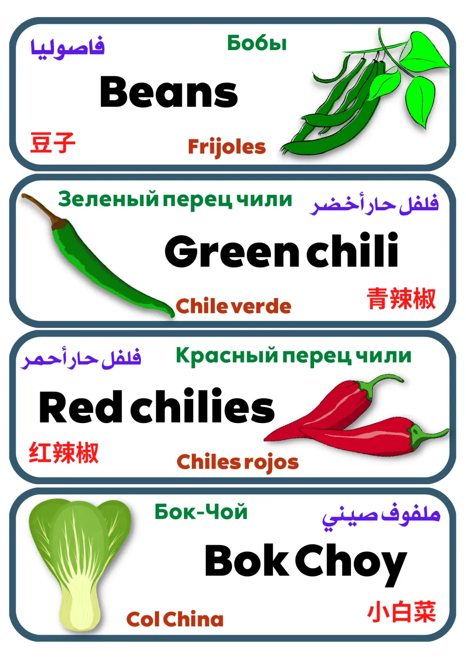 Multilingual vegetable labels 21–24: beans, green chili, red chilies, and bok choy, with pictures