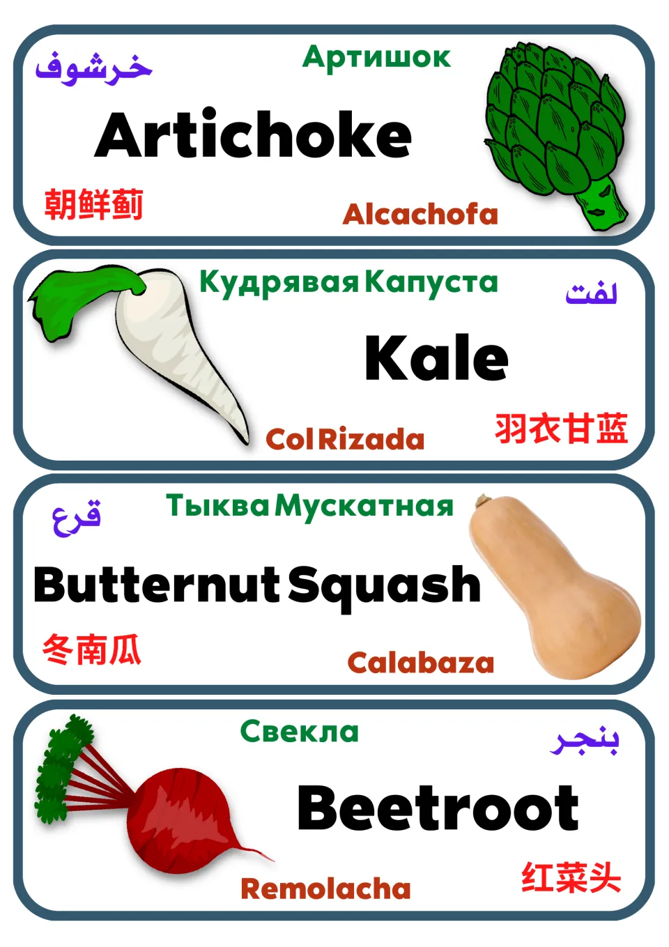 Multilingual vegetable vocabulary labels 25–28: artichoke, kale, butternut squash, and beetroot