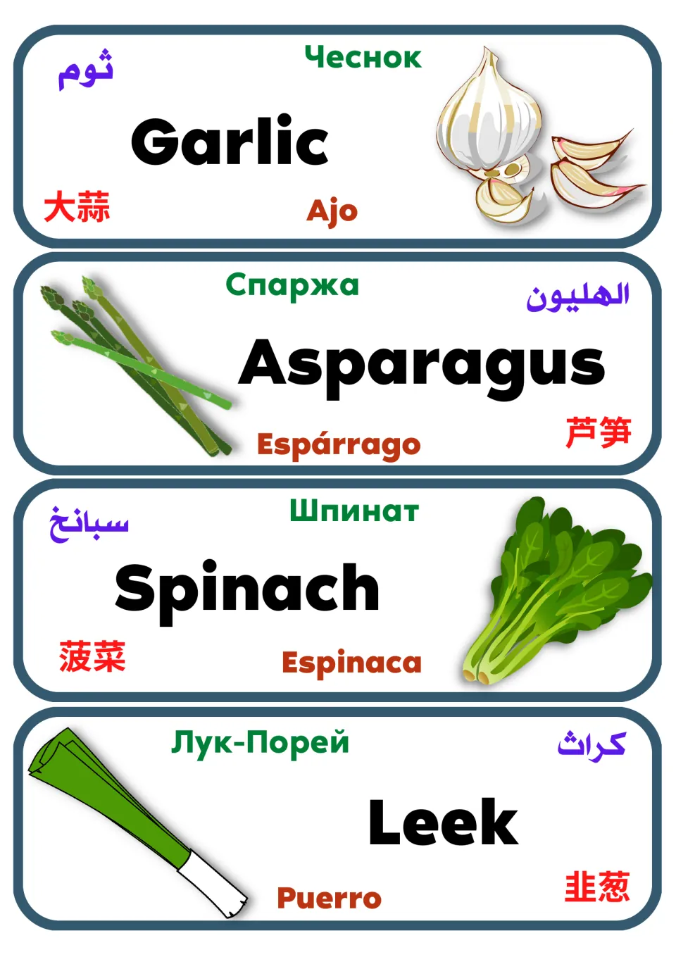 Vegetable vocabulary labels 29–32: garlic, asparagus, spinach, and leek, with names in five languages