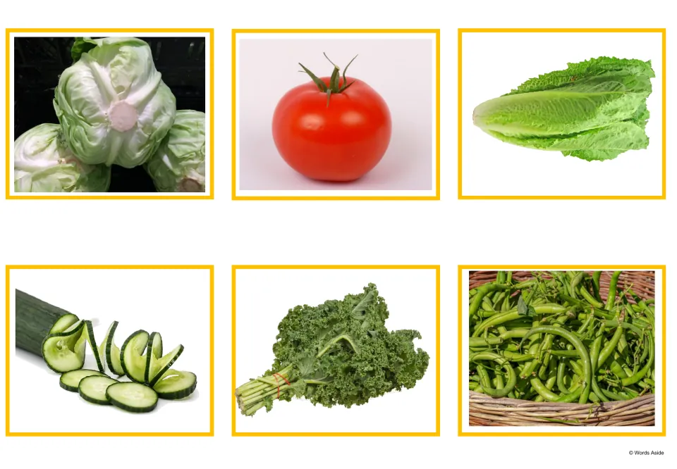 Vegetable photo cards: cabbage, a red tomato, romaine lettuce, sliced cucumber, kale and a basket of green beans
