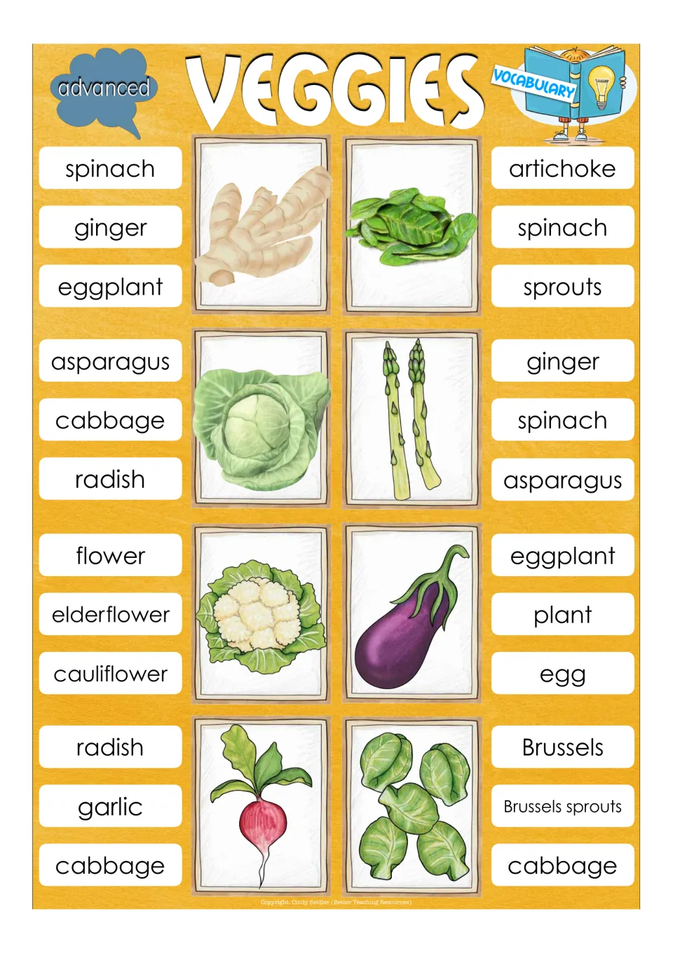 Advanced vegetable names: students clip the word for ginger, spinach, cabbage, asparagus, cauliflower, eggplant and radish