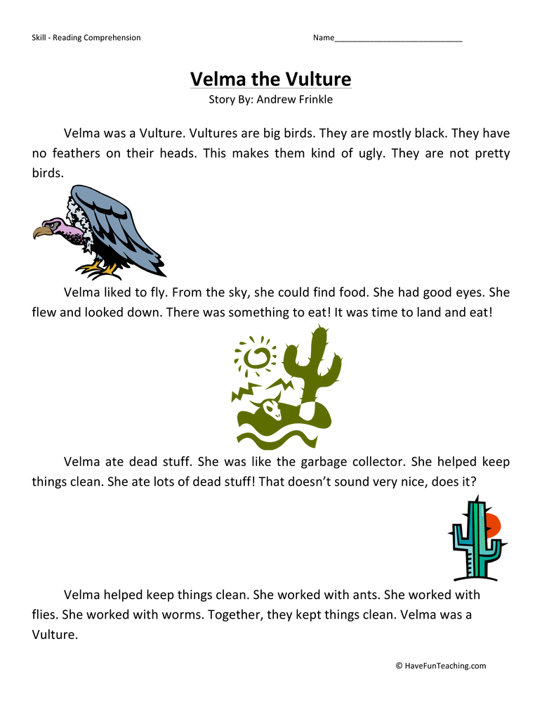 Velma the Vulture Reading Comprehension Worksheet teaching resource preview