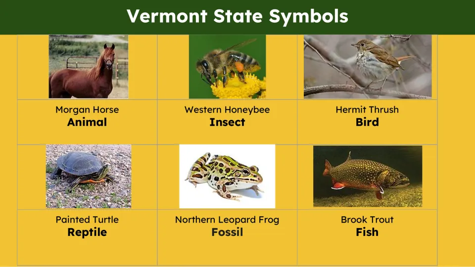 Animal symbols slide names Morgan horse, Western honeybee, hermit thrush, painted turtle, frog, and brook trout