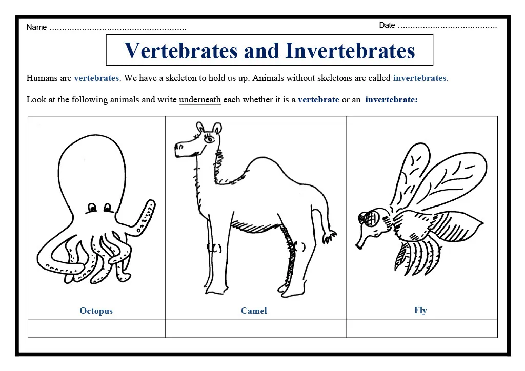 Vertebrates vs Invertebrates Sorting Worksheet – cover