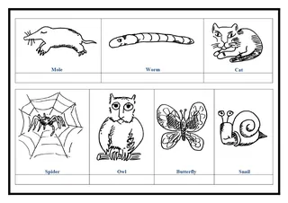 Vertebrates vs Invertebrates Sorting Worksheet – sample page 2