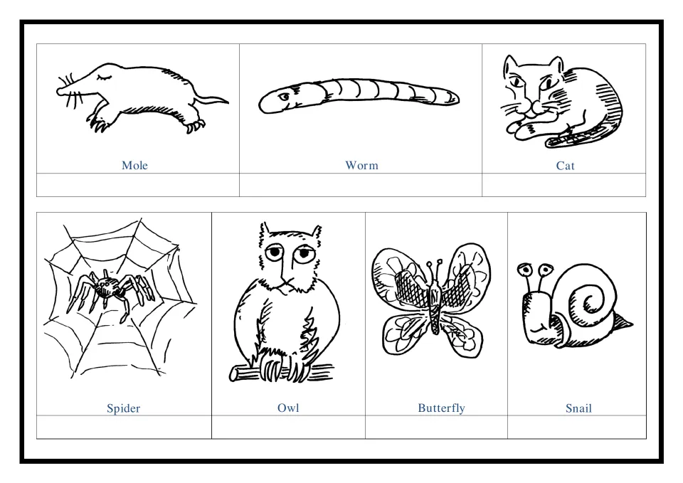 Skeleton or not: students write vertebrate or invertebrate under a mole, worm, cat, spider, owl, butterfly and snail
