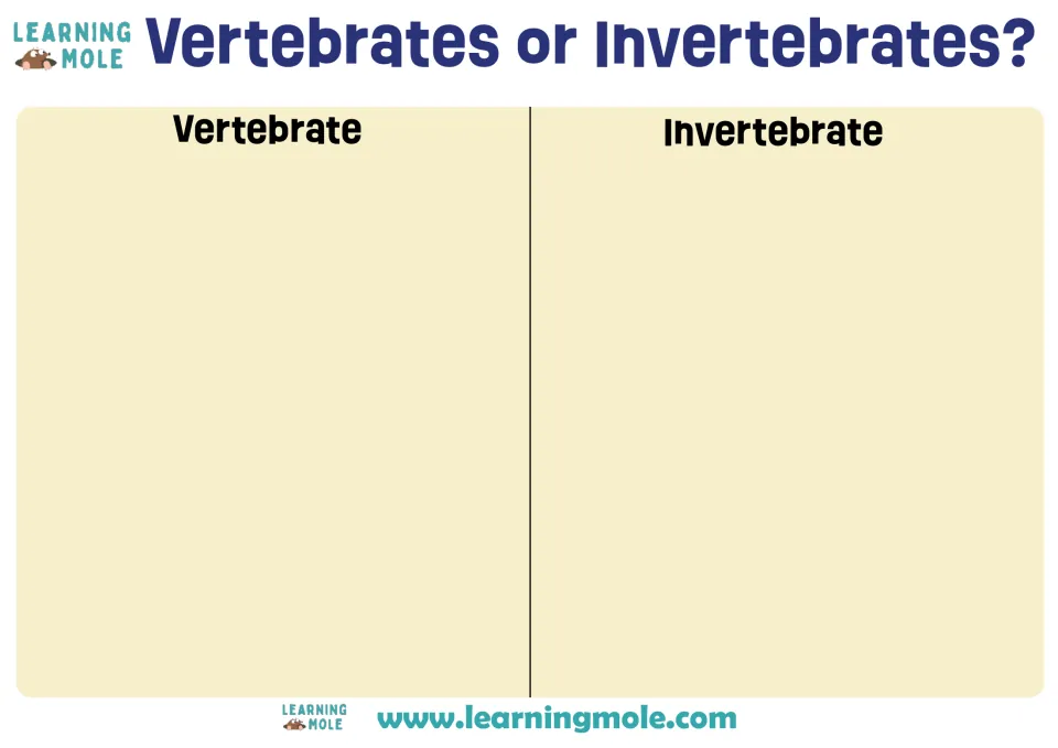 Vertebrates or Invertebrates? sorting mat: students glue animal cut-outs under the Vertebrate or Invertebrate heading