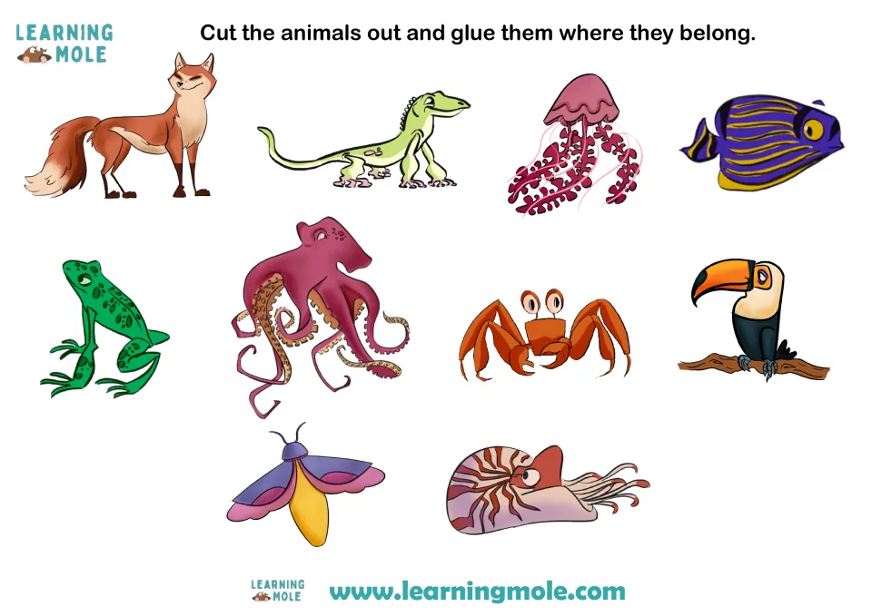 Animal cut-outs to classify by backbone: fox, lizard, frog, fish, toucan, jellyfish, octopus, crab, insect and nautilus