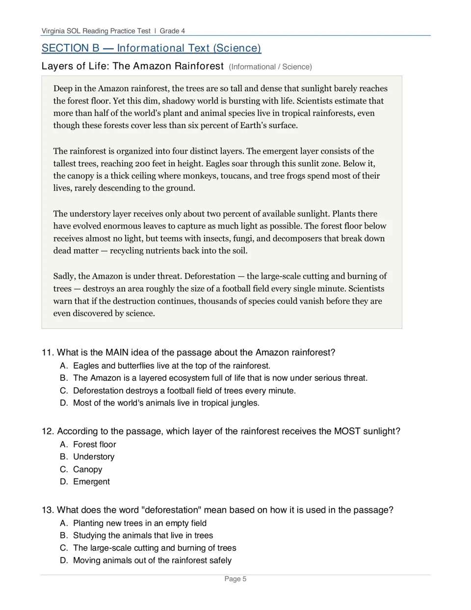 Amazon rainforest layers passage: students read about the four layers and deforestation, then answer main idea questions