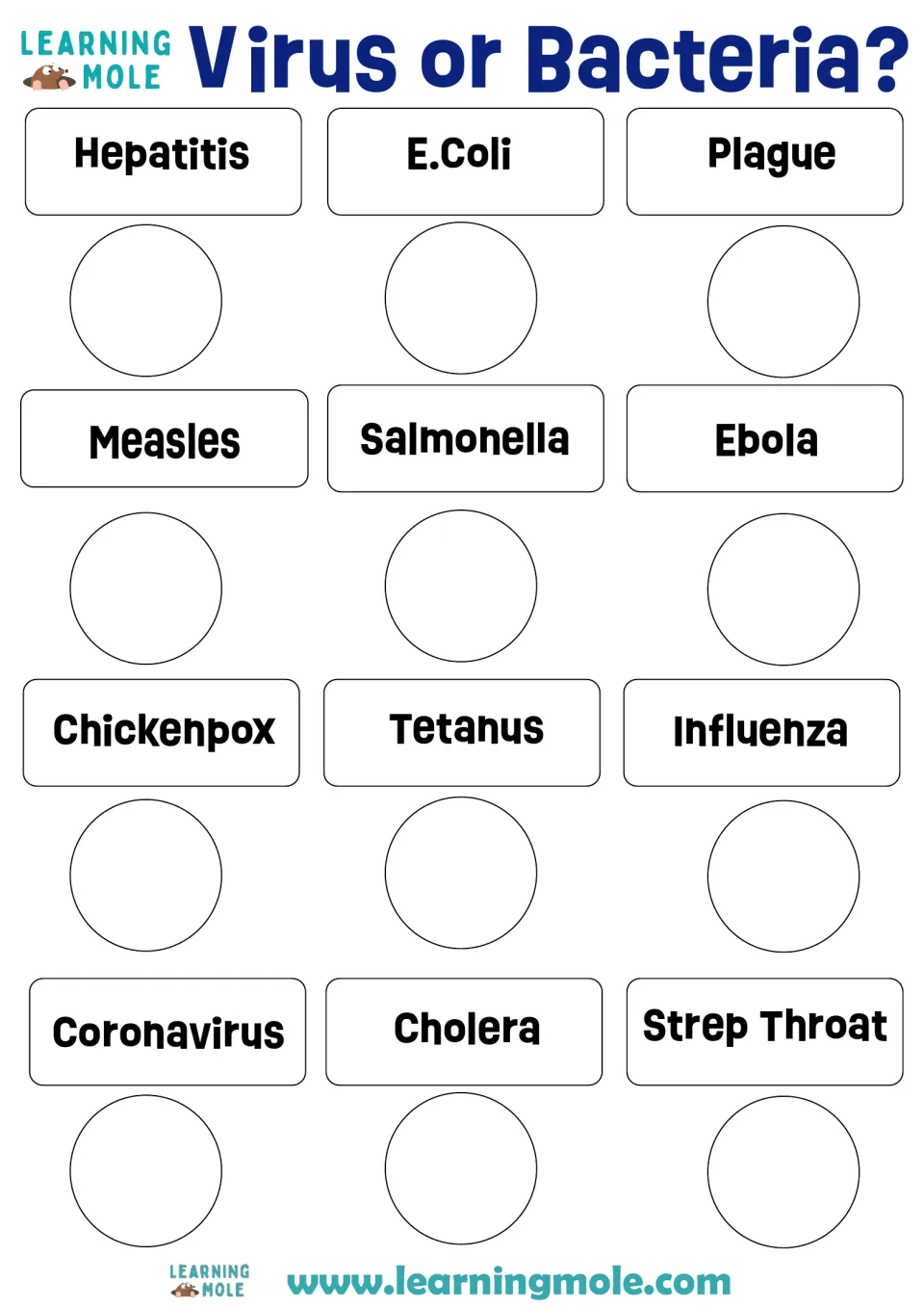 Disease sorting sheet: Hepatitis, E. coli, Plague, Measles, Salmonella, Ebola and six more to classify