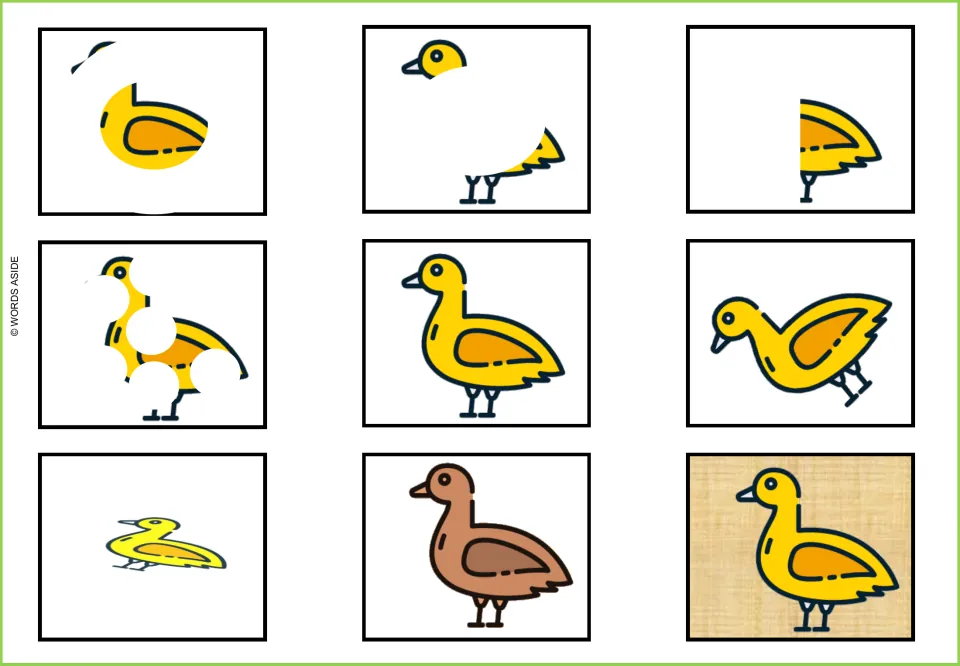 Duck visual perception mat: nine versions showing a whole yellow duck, obscured parts, and a brown variation