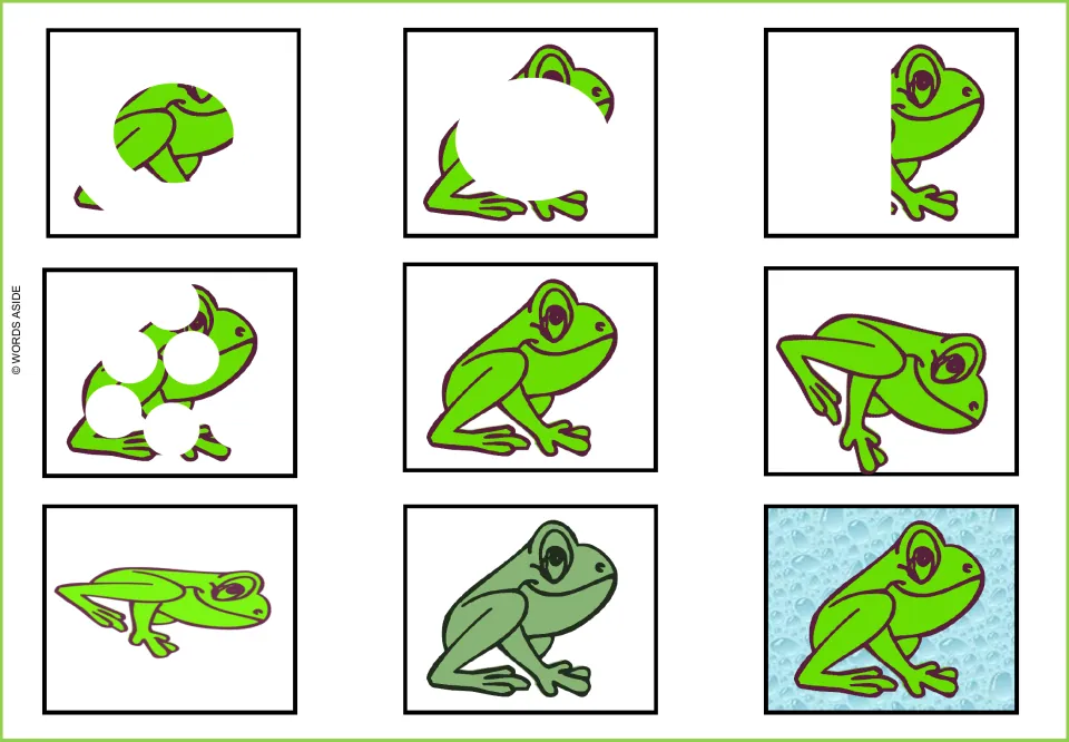 Frog visual perception mat: nine versions of a seated frog with covered parts, rotation, and color changes