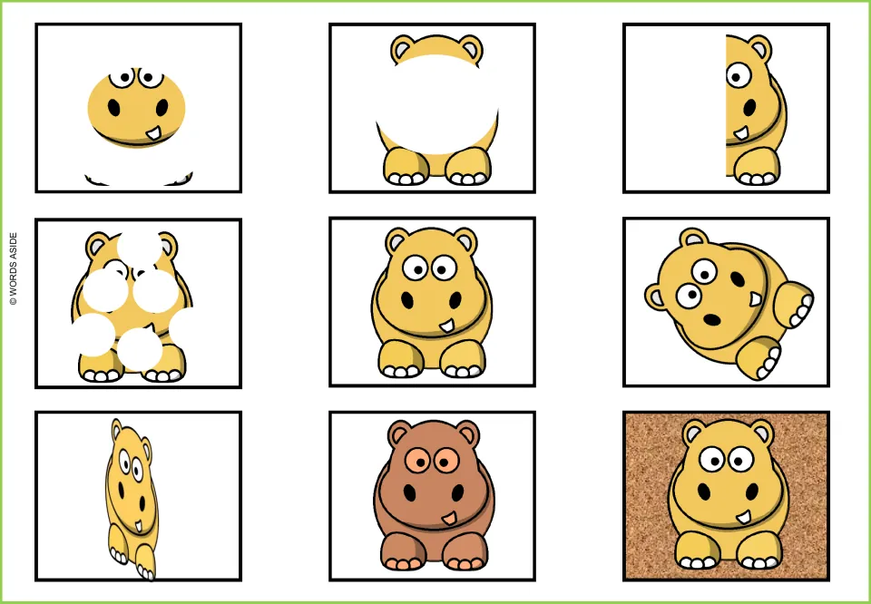 Hippo visual perception mat: nine versions showing the whole animal, masked parts, and a brown variation
