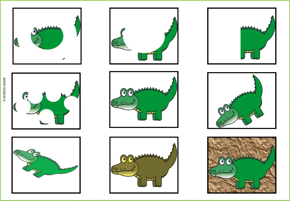 Crocodile visual perception mat: nine versions with covered body parts, rotation, and a darker color variation