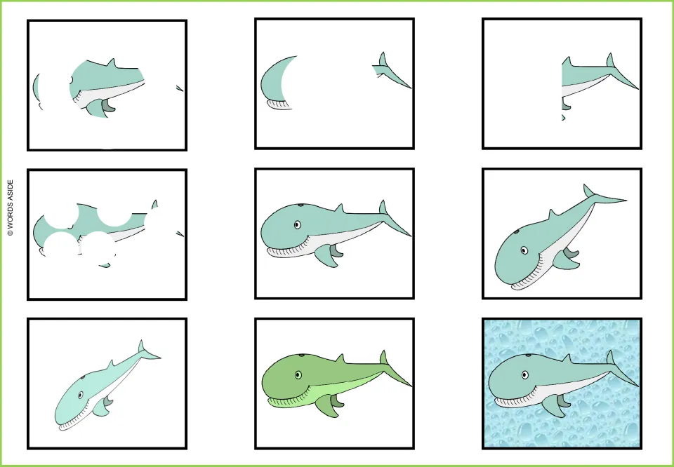 Whale visual perception mat: nine versions, including partially hidden, tilted, narrowed and green whales
