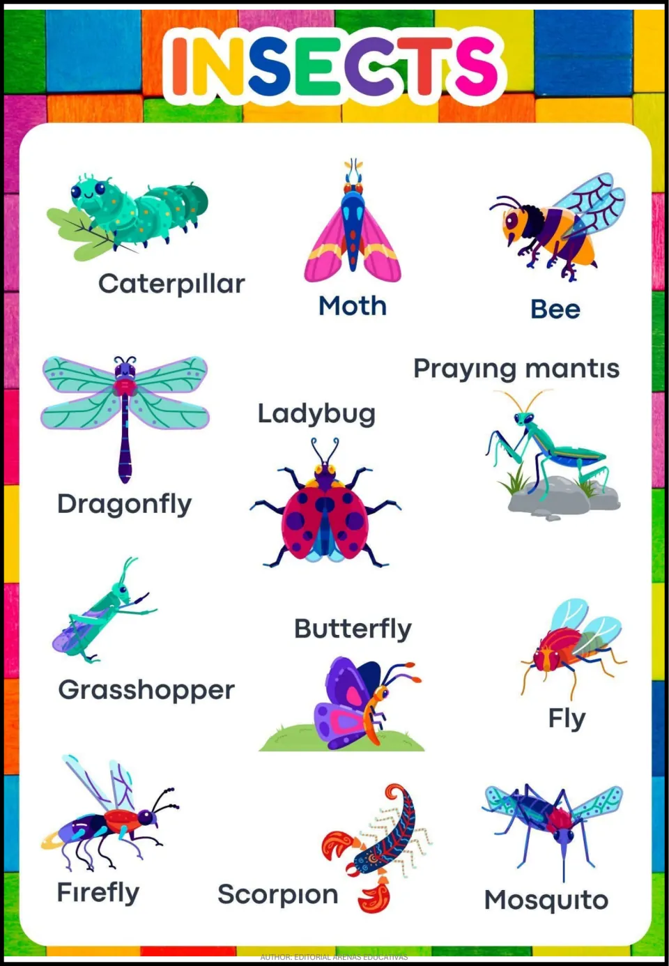 Vocabulary book's 'Insects' topic page with 12 labeled pictures, including caterpillar, moth, bee, and scorpion