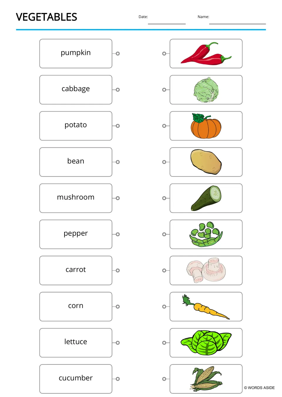 Lowercase vegetable matching sheet with a header pairs 10 words, including pumpkin and bean, with pictures