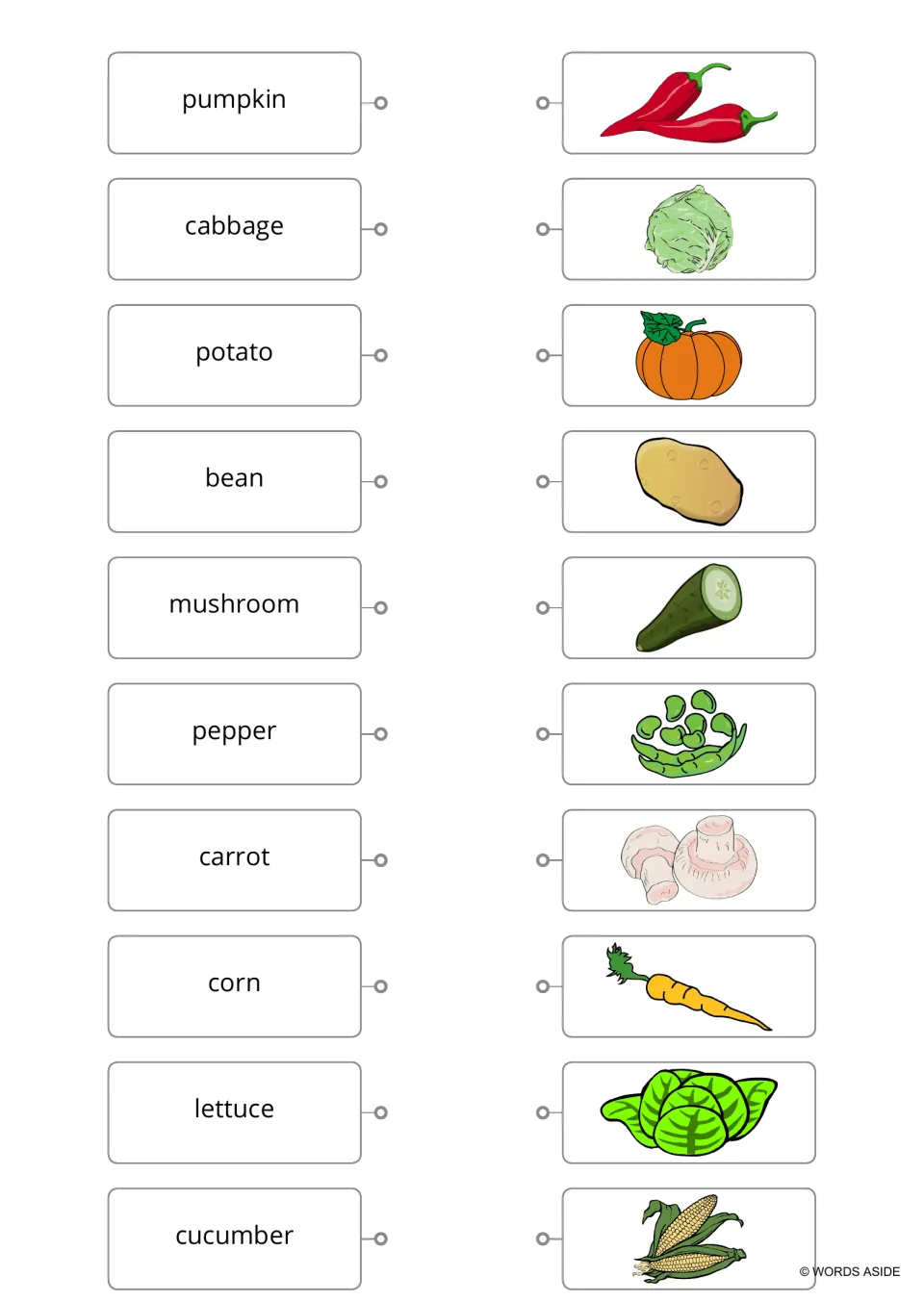 Lowercase vegetable matching sheet without a header pairs 10 words, including cabbage, with pictures