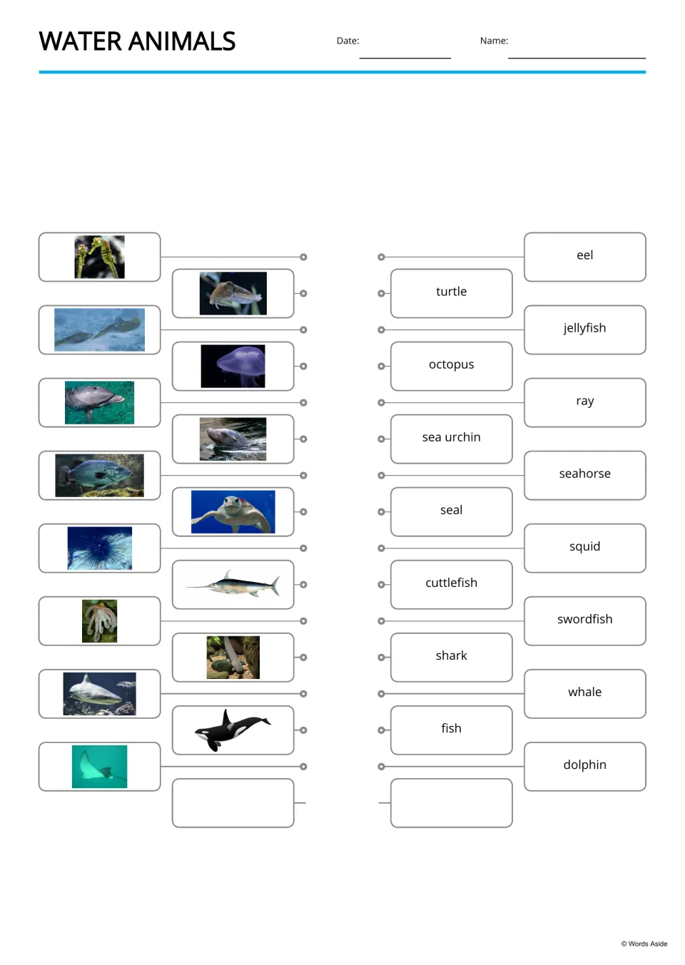 Water animal picture-to-word matching for 15 animals, including dolphin, jellyfish, turtle, and octopus
