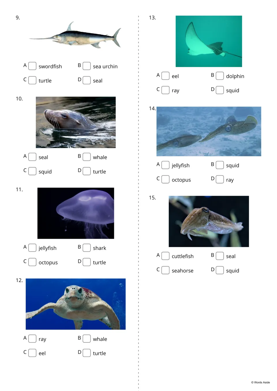 Water animal identification questions 9–15 use pictures and name choices, from swordfish through cuttlefish
