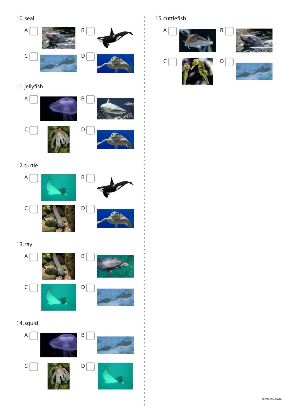 Water animal picture-choice questions 10–15 cover seal, jellyfish, turtle, ray, squid, and cuttlefish