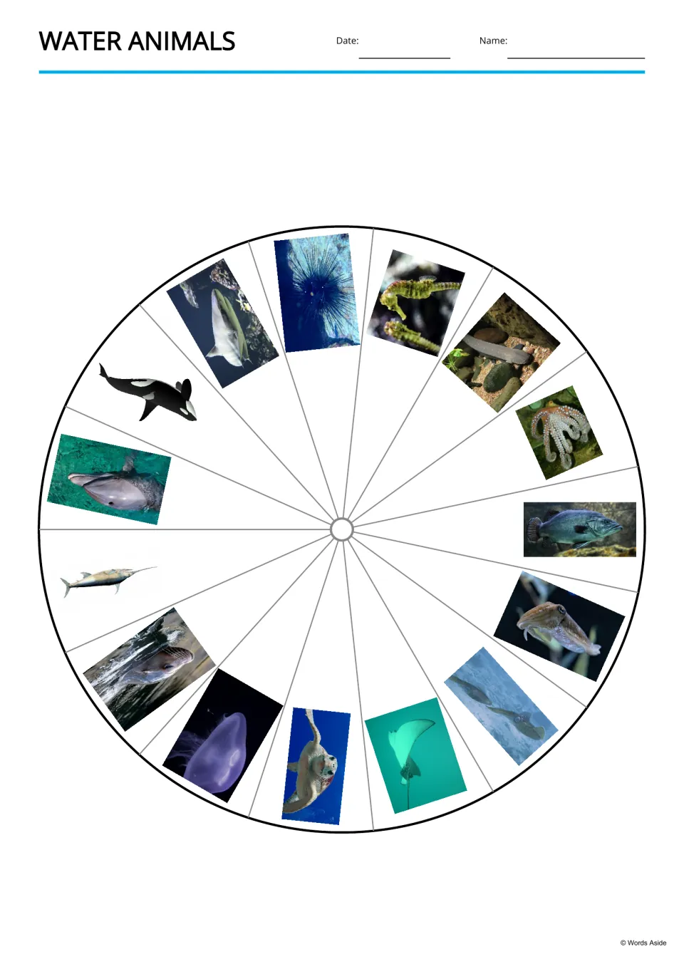 Water animal vocabulary picture wheel featuring all 15 animals, including shark, sea urchin, and dolphin